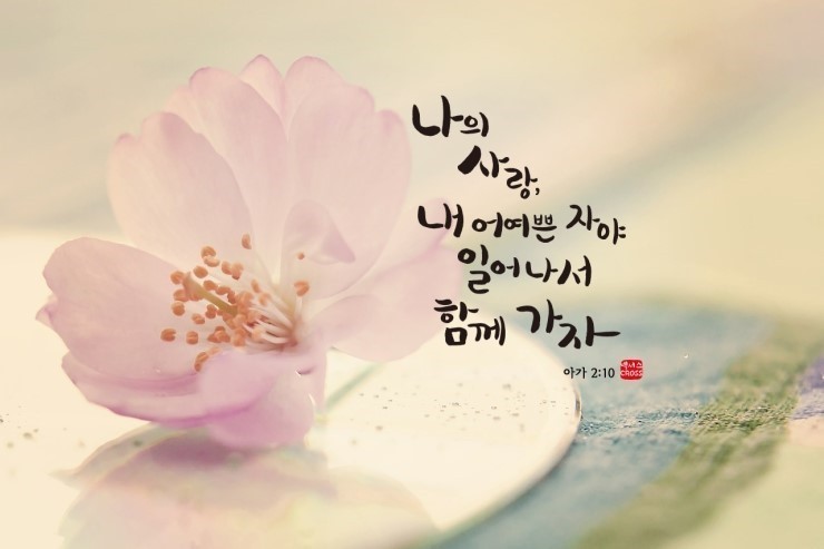 길벗상조